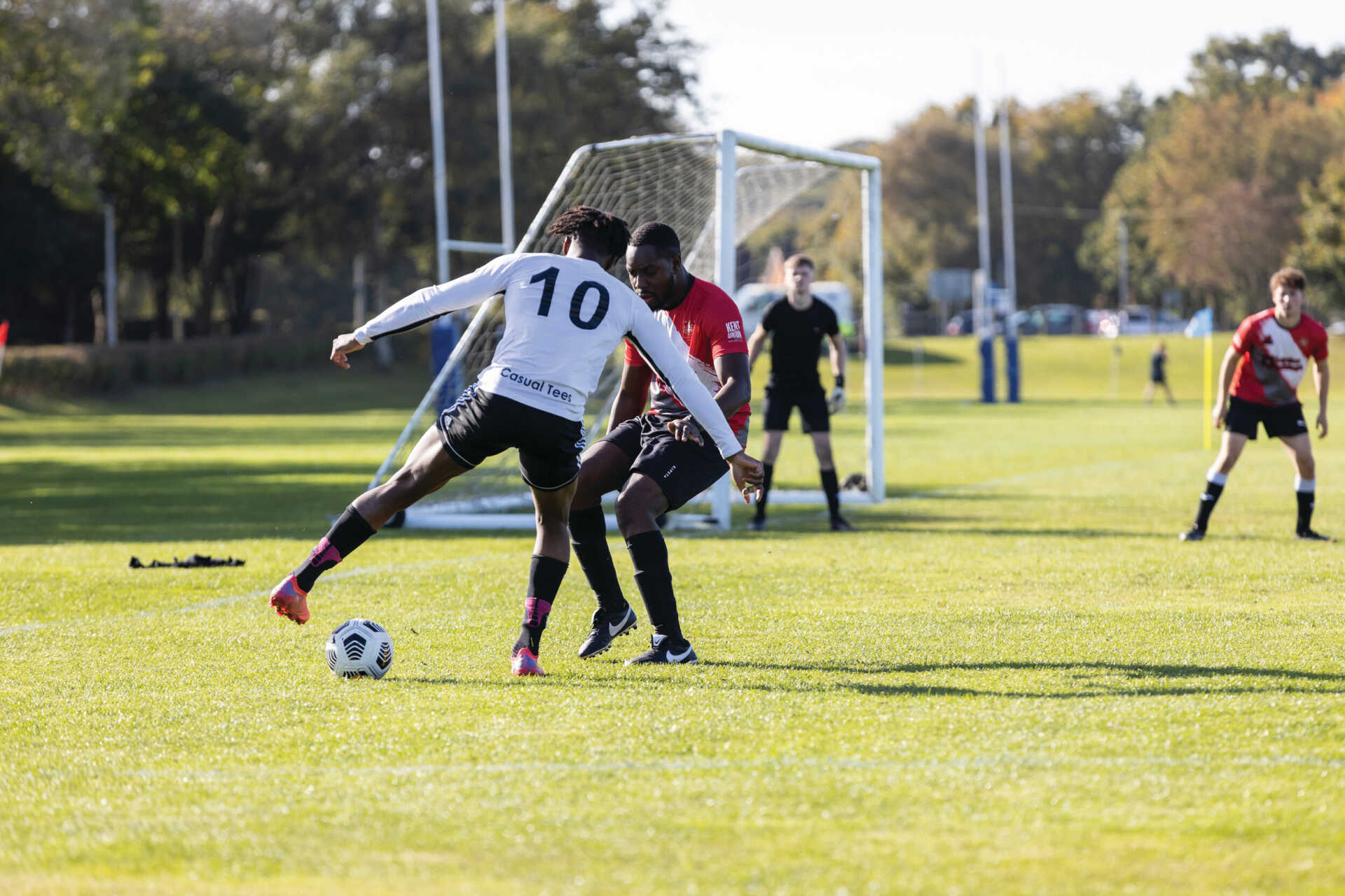 无疑成为了 无疑成为了